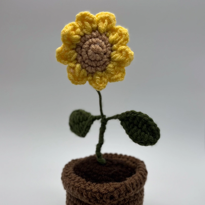 Sunflower in Bloom