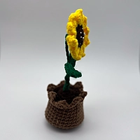 Sunflower in Bloom