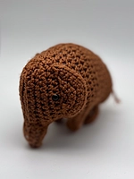 Peanut the Elephant
