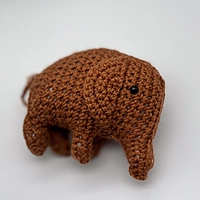 Peanut the Elephant