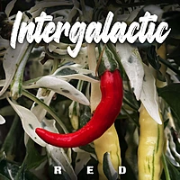 Semences de piments INTERGALACTIC RED