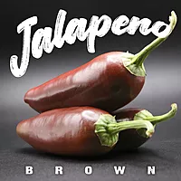Semences de piments JALAPENO BROWN
