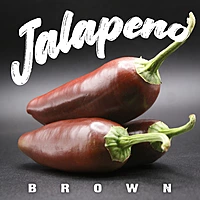 Semences de piments JALAPENO BROWN