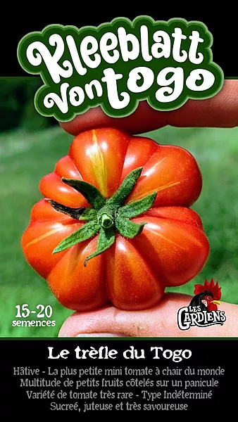 Semences de tomates Le trèfle du Togo (Kleeblatt vontogo)