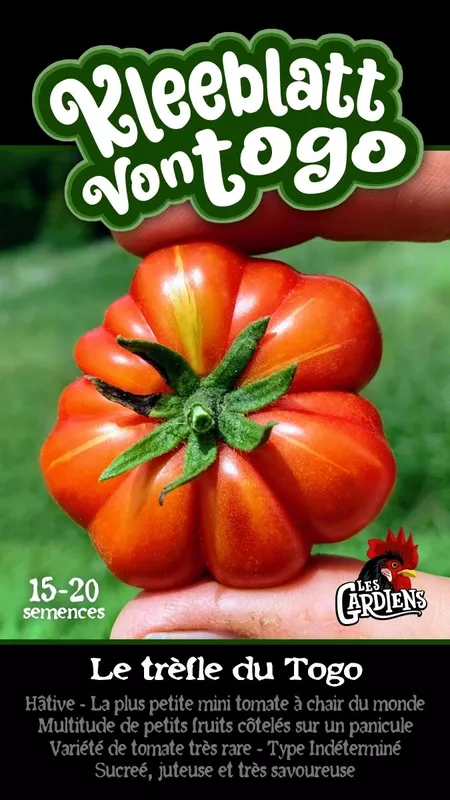 Semences de tomates Le trèfle du Togo (Kleeblatt vontogo)