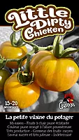 Semences de tomates Little dirty chicken