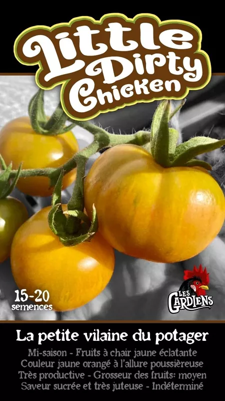 Semences de tomates Little dirty chicken