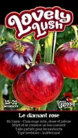 Semences de tomates Lovely Lush