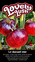 Semences de tomates Lovely Lush