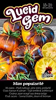 Semences de tomates Lucid gem