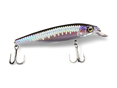 M. Stinky Minnow - 2.5 pouces. éperlan M. Stinky Minnow - 2.5 pouces. éperlan