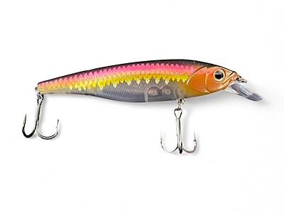M. Stinky Minnow - 4 pouces. éperlan arc-en-ciel M. Stinky Minnow - 4 pouces. éperlan arc-en-ciel