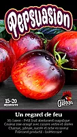 Semences de tomates Persuasion