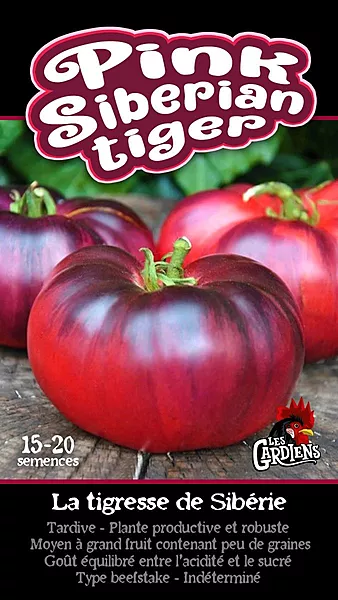 Semences de tomates Pink siberian tiger