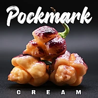 Semences de piments POCKMARK CREAM