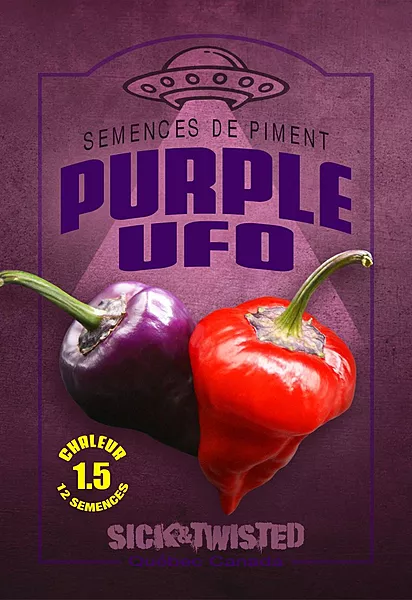 Semences de piments UFO Purple