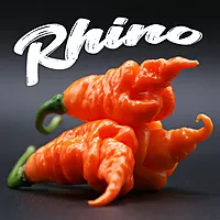 Semences de piments RHINO
