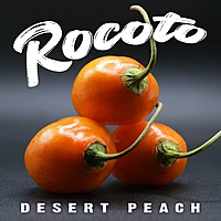 Semences de piments ROCOTO DESERT PEACH