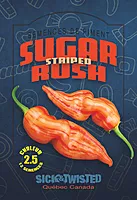 Semences de piments Sugar Rush Striped