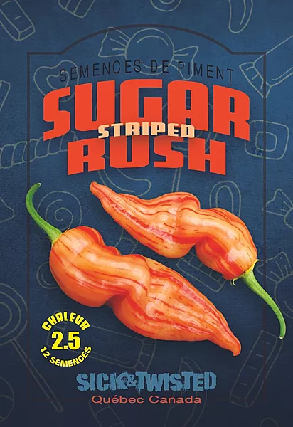 Semences de piments Sugar Rush Striped