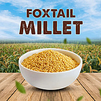 SV Homemade Foxtail Thinai Millet