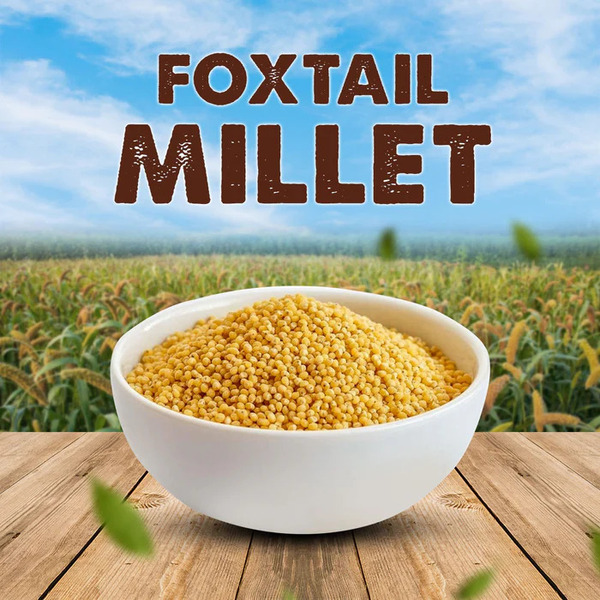 SV Homemade Foxtail Thinai Millet