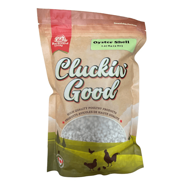 Cluckin Good Oyster Shell Cluckin Good Oyster Shell