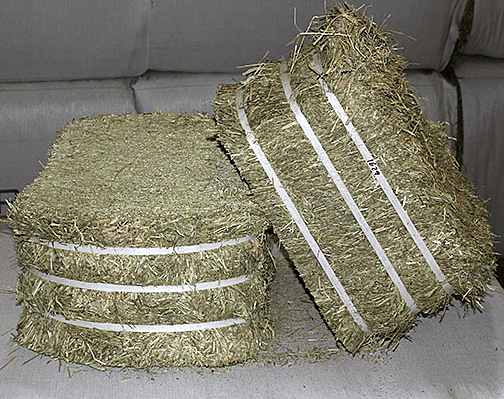 Compressed Hay Bale
