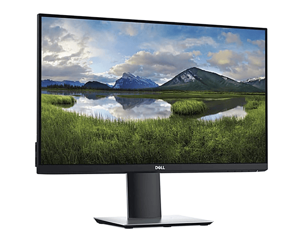 Dell P2419H 24inch Monitor