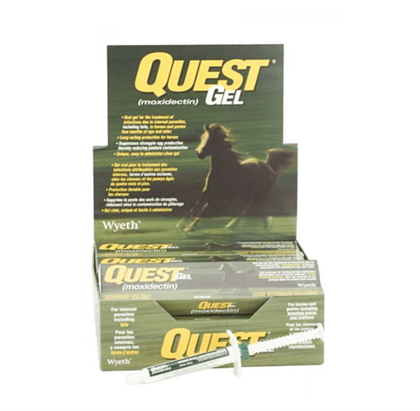 Quest Gel Wormer 11.5 gm