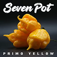 Semences de piments 7 POT PRIMO YELLOW