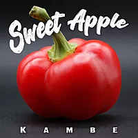 Semences de piments APPLE KHAMBE
