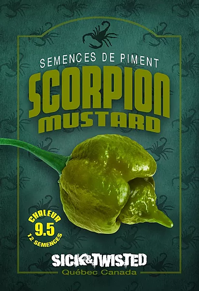 Semences de piments Scorpion Moutarde