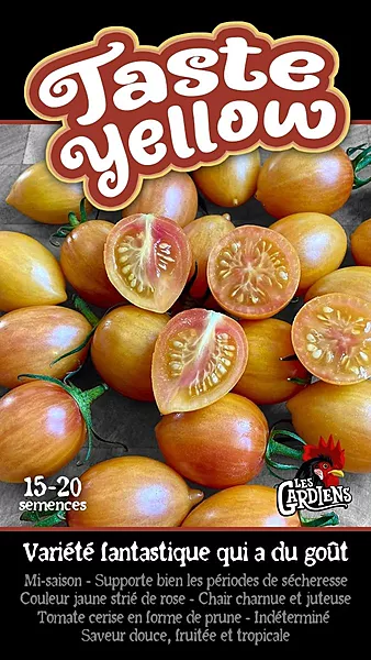 Semences de tomates Taste Yellow