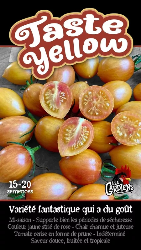 Semences de tomates Taste Yellow
