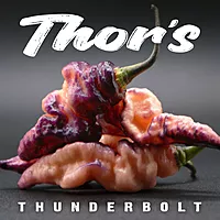 Semences de piments THOR'S THUNDERBOLT