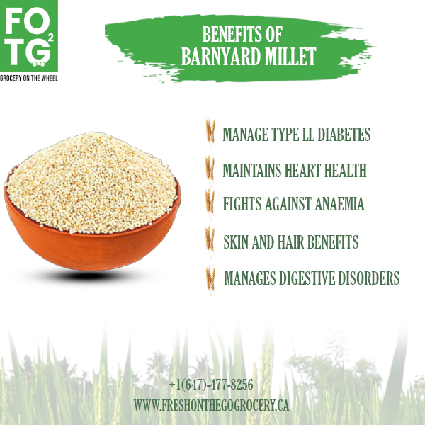 Kuthiraivali Barnyard Millet 1 Kg