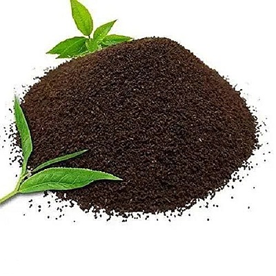 ooty tea powder