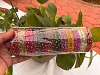 Glass Kada Bangles (2 Bangles )