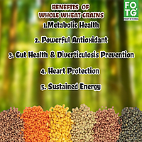 Whole Wheat Grains 1 Kg