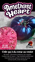 Semences de tomates Amethyst Heart