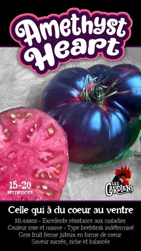 Semences de tomates Amethyst Heart