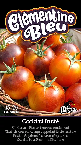 Semences de tomates Clémentine bleu