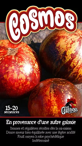 Semences de tomates Cosmos