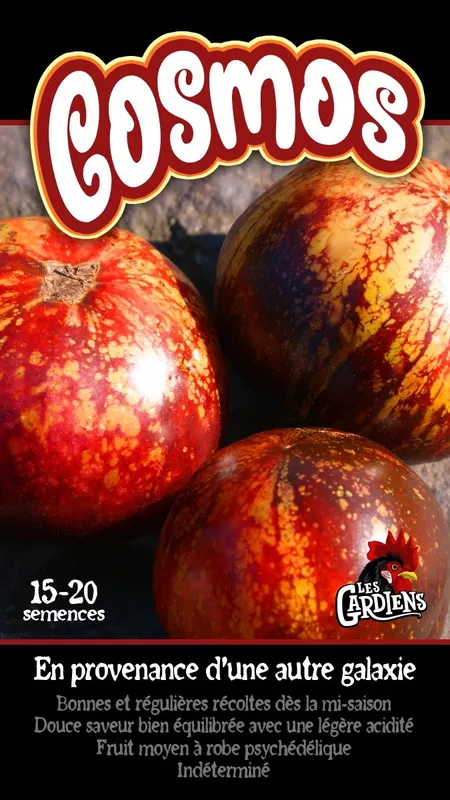 Semences de tomates Cosmos