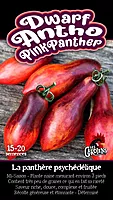 Semences de tomates Dwarf antho pink panther