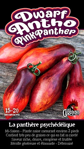 Semences de tomates Dwarf antho pink panther