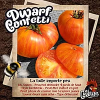 Semences de tomates dwarf confetti