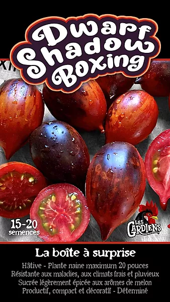 Semences de tomates Dwarf shadow boxing