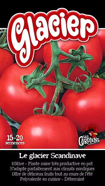Semences de tomates Glacier